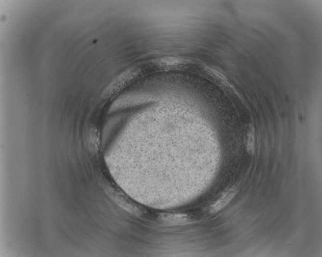 X0000075870476200610062007