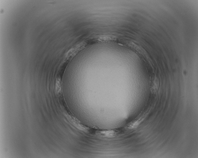 X0000075870478200610062007