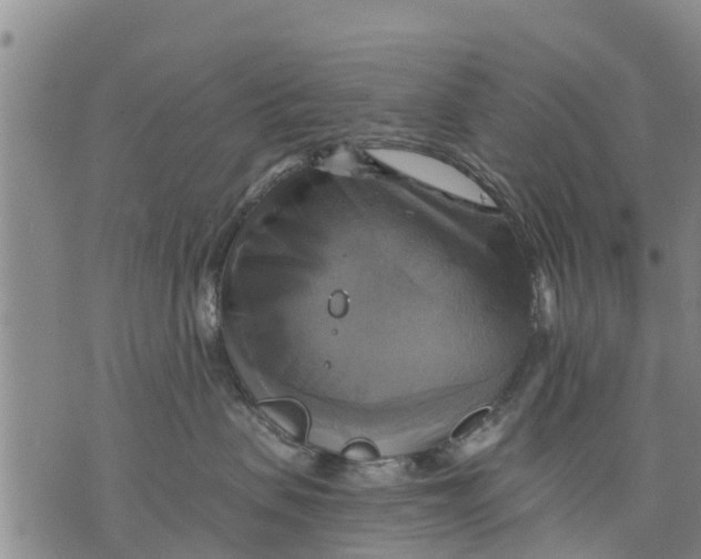 X0000075870479200610062007