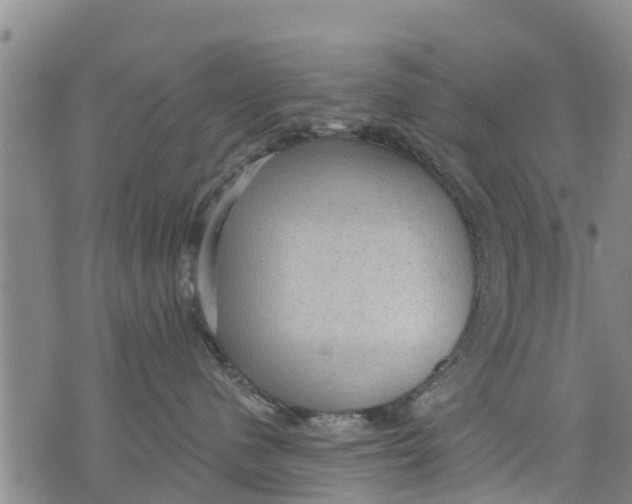 X0000075870480200610062007