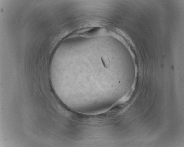 X0000075870481200610062006