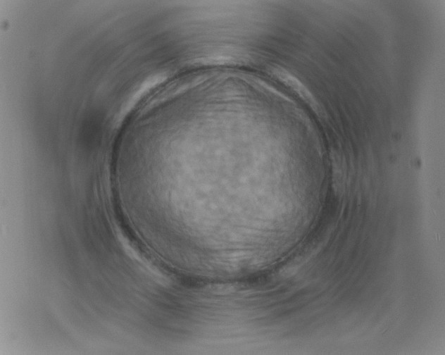 X0000075870482200610062006