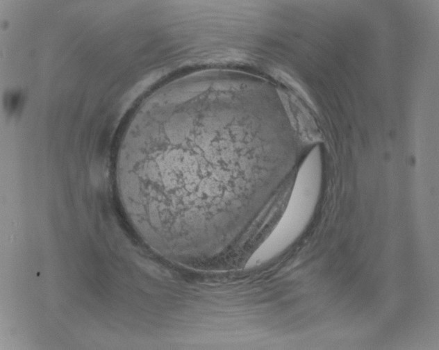 X0000075870483200610062006