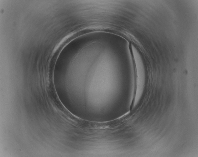 X0000075870484200610062006