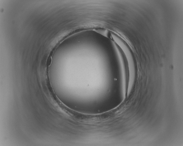 X0000075870485200610062006