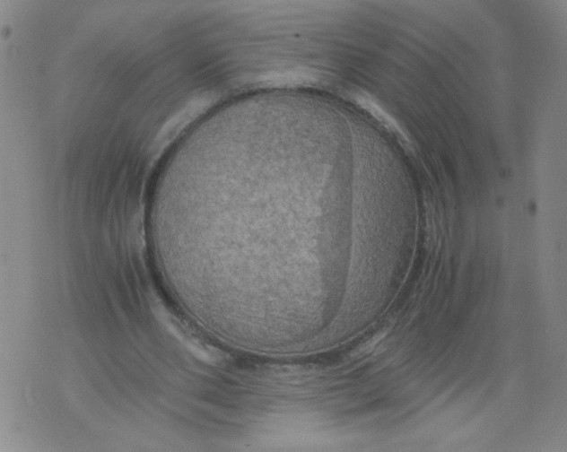 X0000075870486200610062006