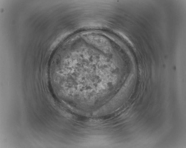 X0000075870487200610062006