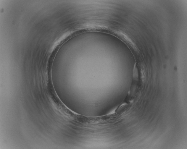 X0000075870488200610062006