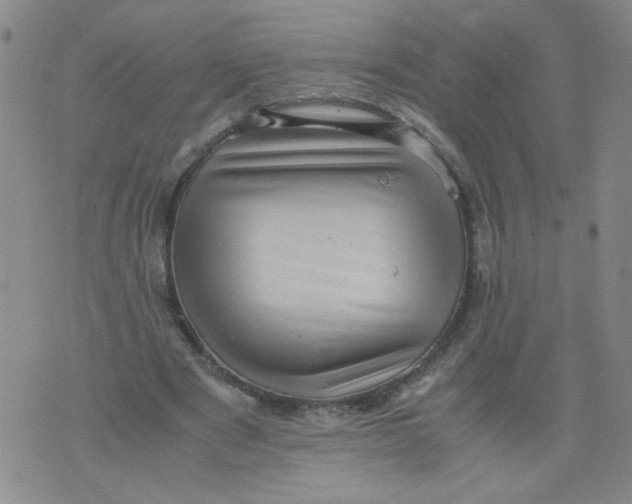 X0000075870489200610062006