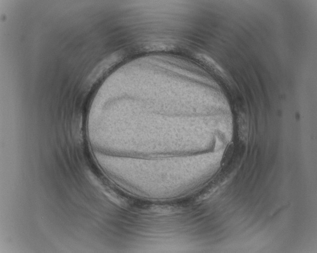 X0000075870490200610062006