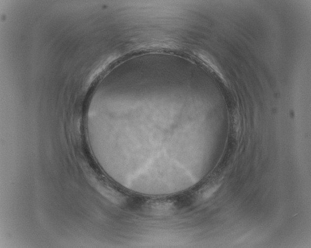 X0000075870491200610062006