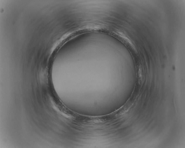 X0000075870492200610062006