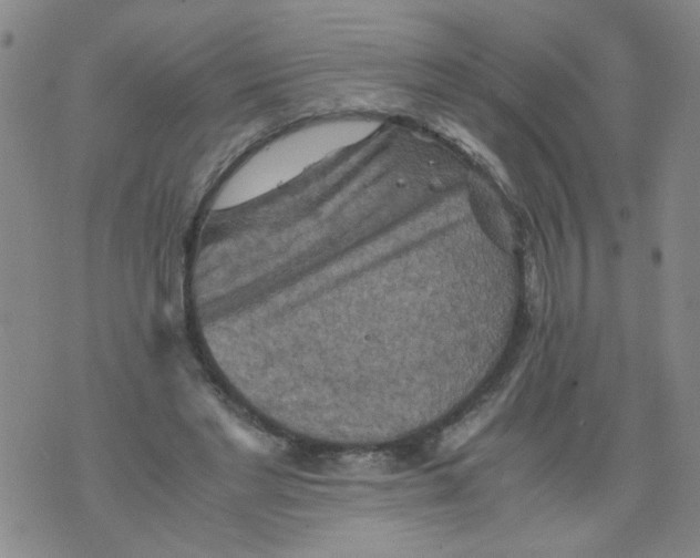 X0000075870493200610062006