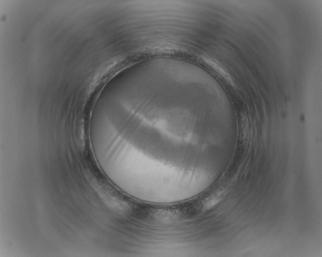 X0000075870494200610062006