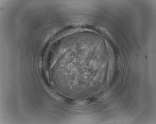 X0000075870495200610062006