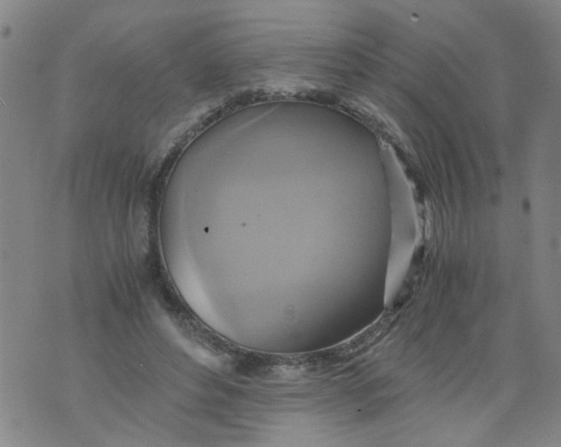 X0000075870496200610062006