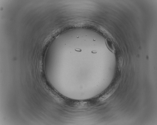 X0000075870497200610062006