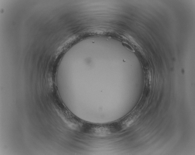 X0000075870500200610062006