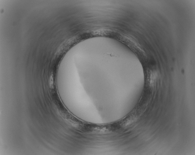 X0000075870502200610062006