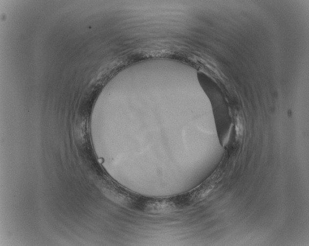 X0000075870503200610062006