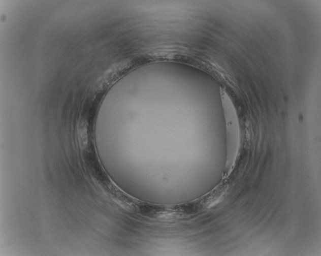 X0000075870504200610062006