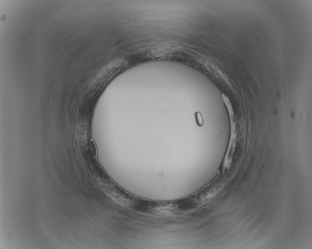 X0000075870505200610062006