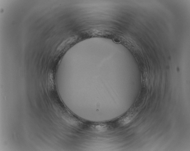 X0000075870506200610062006