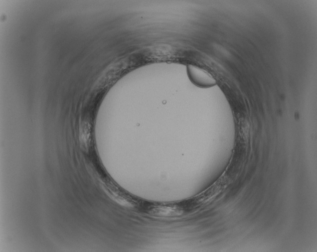 X0000075870507200610062006