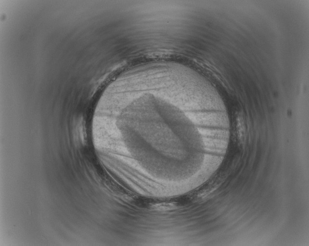 X0000075870508200610062006