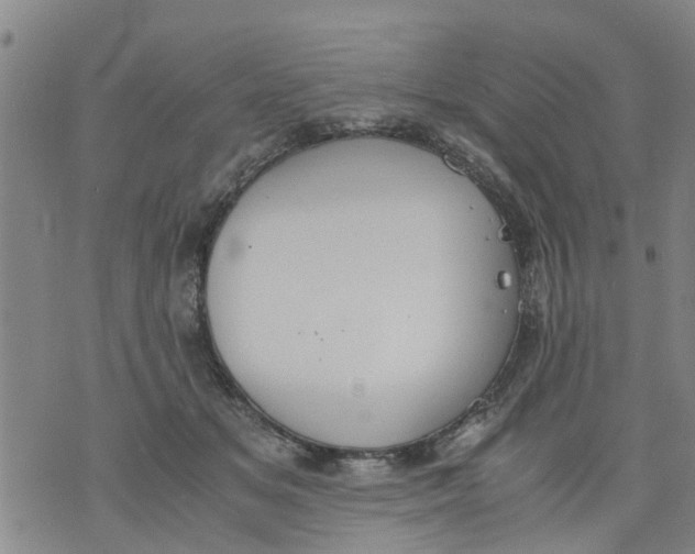 X0000075870509200610062006