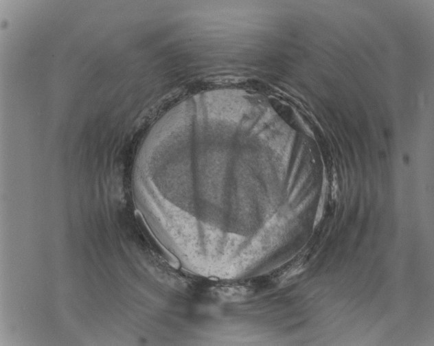 X0000075870512200610062006