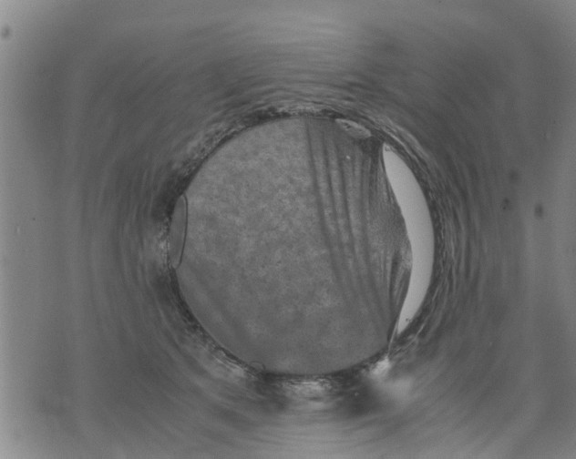 X0000075870513200610062006