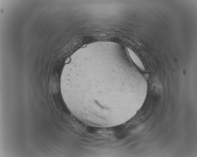 X0000075870515200610062006