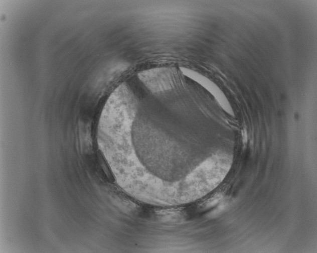 X0000075870516200610062006