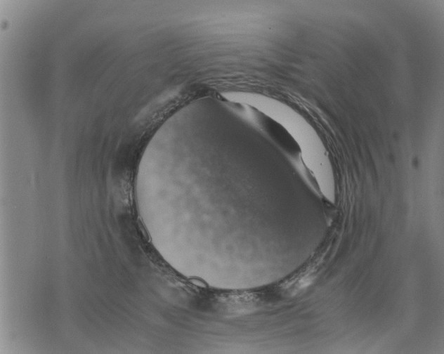 X0000075870517200610062006