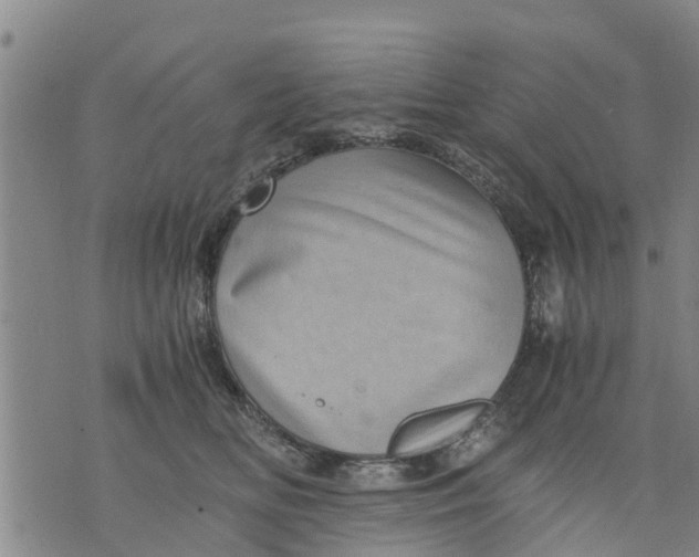 X0000075870518200610062006