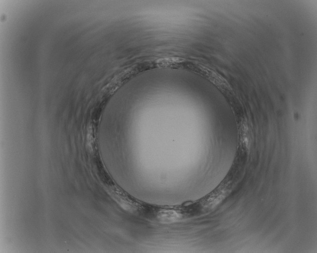 X0000075870519200610062006