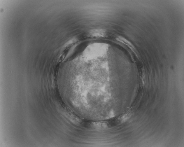 X0000075870520200610062006