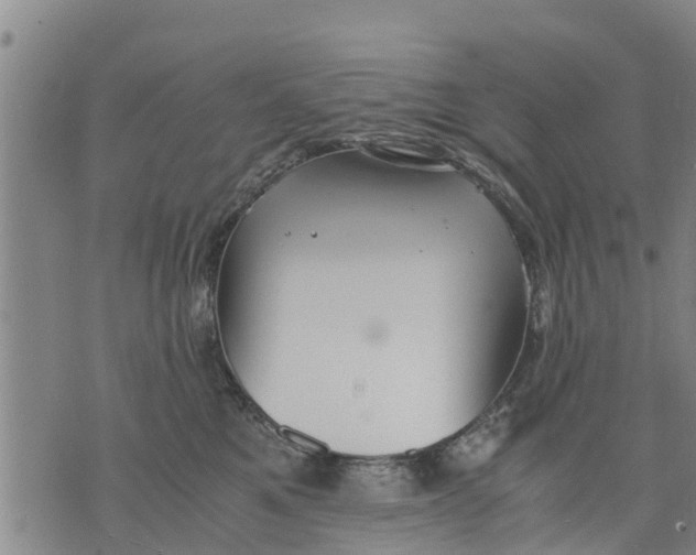 X0000075870521200610062006