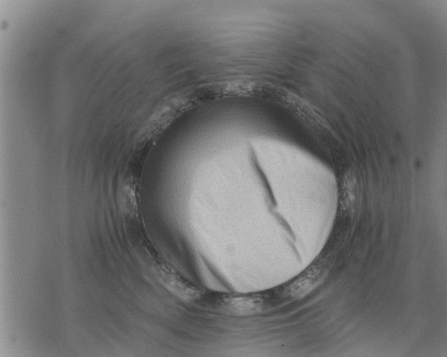 X0000075870522200610062006