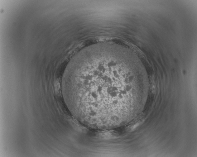 X0000075870523200610062006