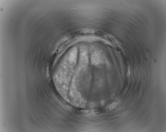 X0000075870524200610062006