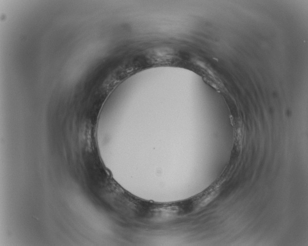 X0000075870525200610062006