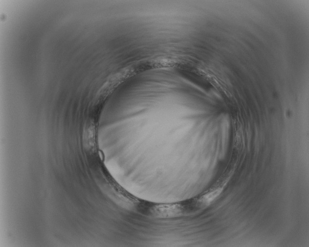 X0000075870526200610062006