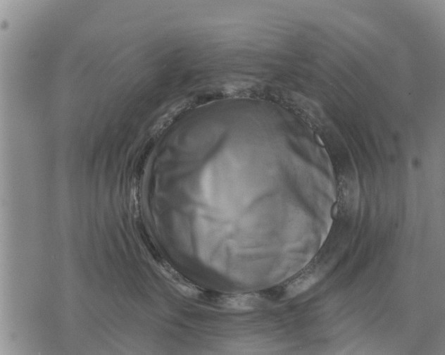 X0000075870527200610062006