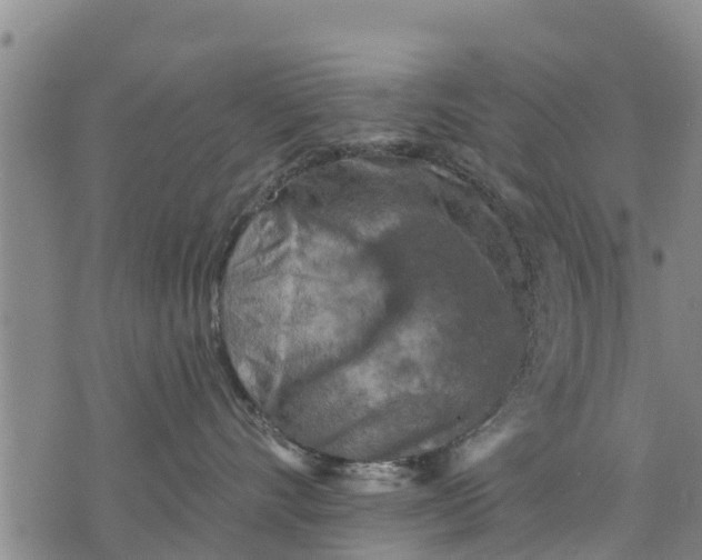 X0000075870528200610062006