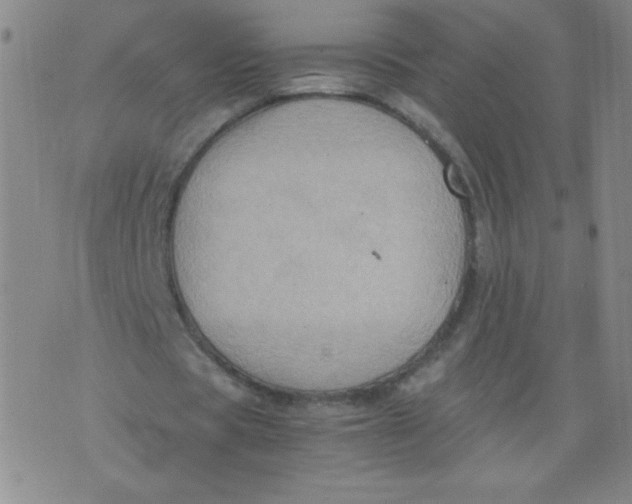 X0000075870529200610062005