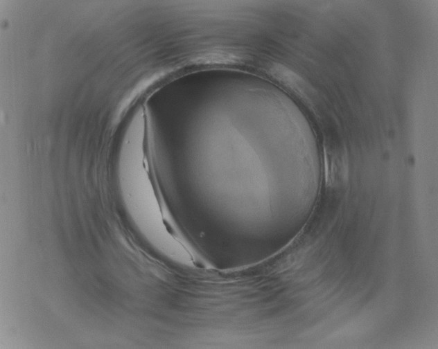 X0000075870531200610062005