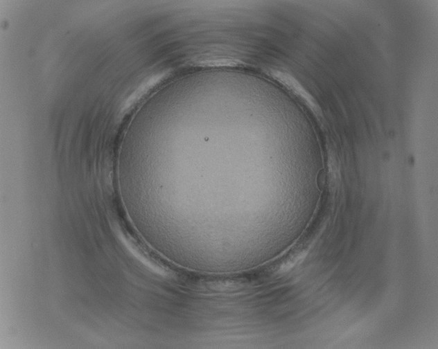 X0000075870533200610062005