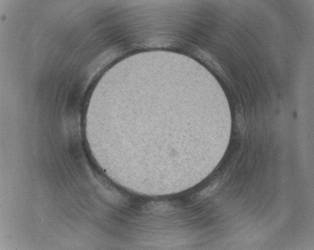 X0000075870534200610062005